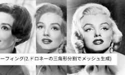 Featured image of post 顔モーフィング(2.メッシュ生成(ドロネーの三角形分割))