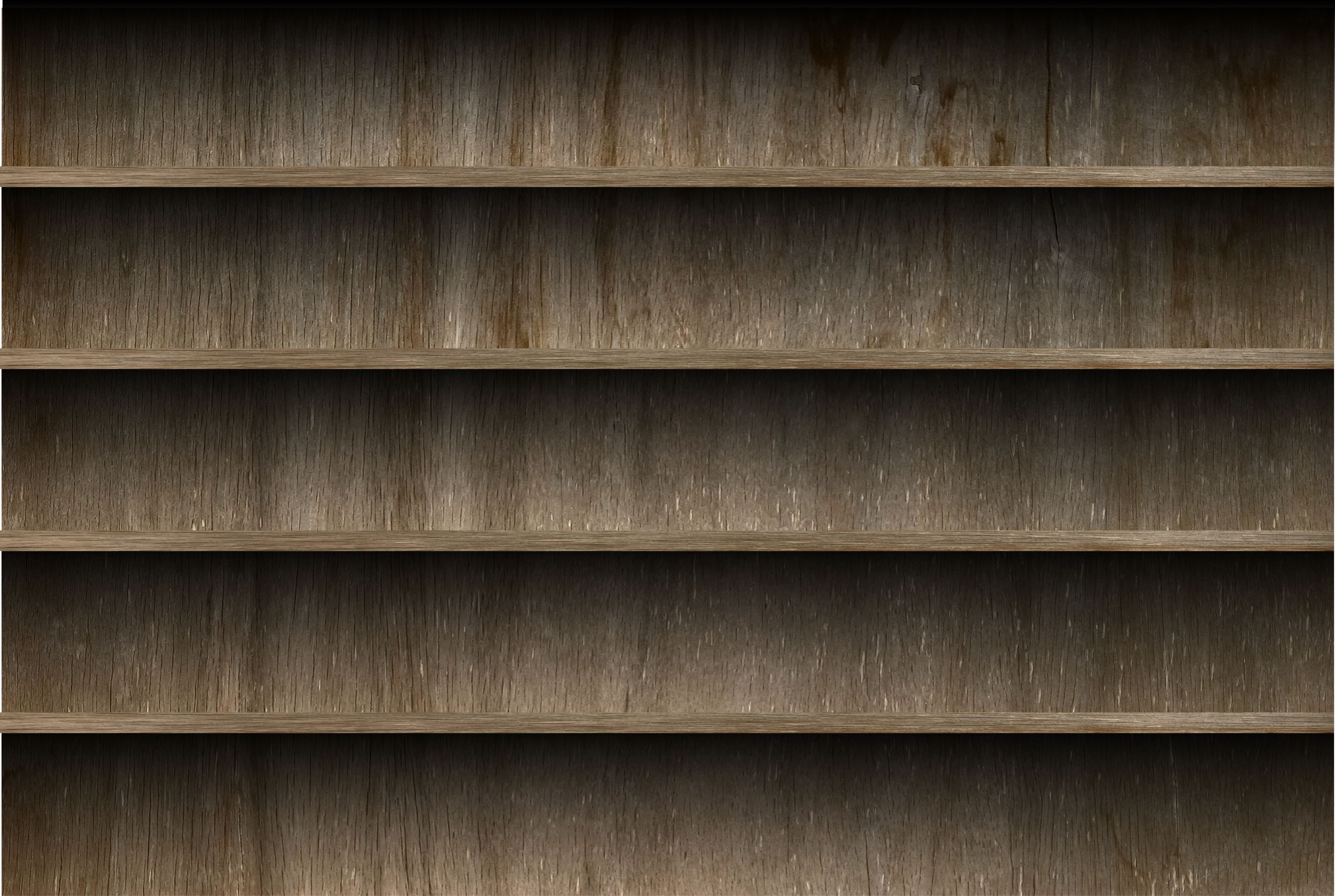 shelf2.png